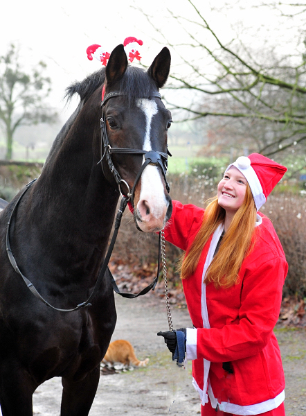 Shavalou und die Weihnachts-Wichtel sind unterwegs - Trakehner Gestt Hmelschenburg - Beate Langels