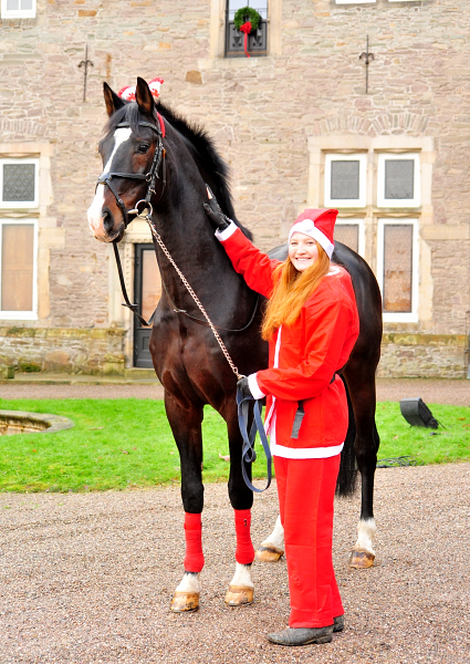 Shavalou und ein Weihnachts-Wichtel sind unterwegs - Trakehner Gestt Hmelschenburg - Beate Langels