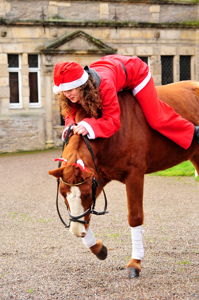 Die Weihnachts-Wichtel sind unterwegs - Trakehner Gestt Hmelschenburg - Beate Langels