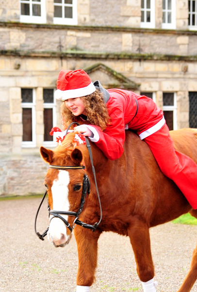 Die Weihnachts-Wichtel sind unterwegs - Trakehner Gestt Hmelschenburg - Beate Langels