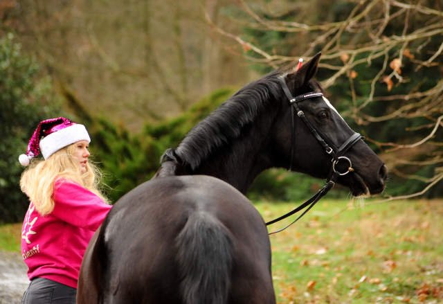 Greta Garbo und Pauline - Trakehner Gestt Hmelschenburg - Beate Langels