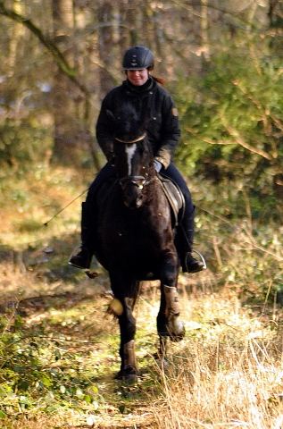 16. Februar 2016  Ausritt mit Schwalbenpoesie und Apollo - Foto: Beate Langels -
Trakehner Gestt Hmelschenburg