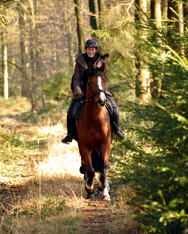 16. Februar 2016  Ausritt mit Schwalbenpoesie und Apollo - Foto: Beate Langels -
Trakehner Gestt Hmelschenburg