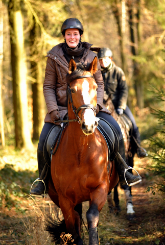 16. Februar 2016  Ausritt mit Schwalbenpoesie und Apollo - Foto: Beate Langels -
Trakehner Gestt Hmelschenburg