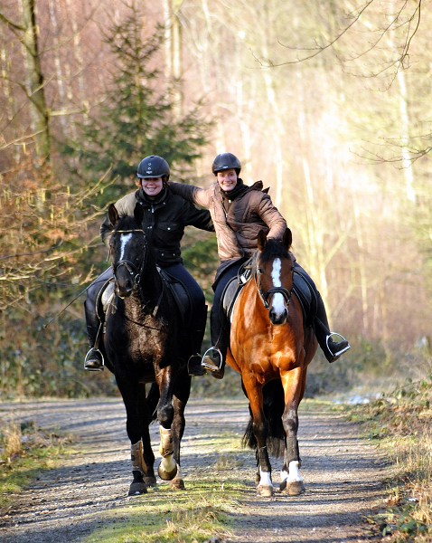 16. Februar 2016  Ausritt mit Schwalbenpoesie und Apollo - Foto: Beate Langels -
Trakehner Gestt Hmelschenburg