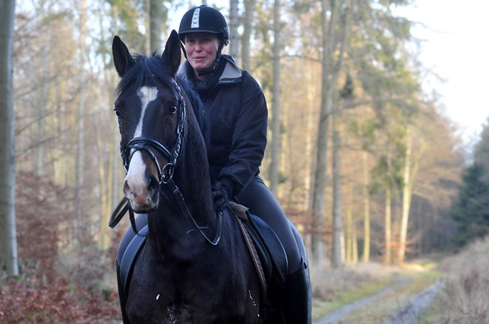 Ausritt im Januar 2012: Hirtenglanz und Shavalou - Foto: Beate Langels - Trakehner Gestt Hmelschenburg