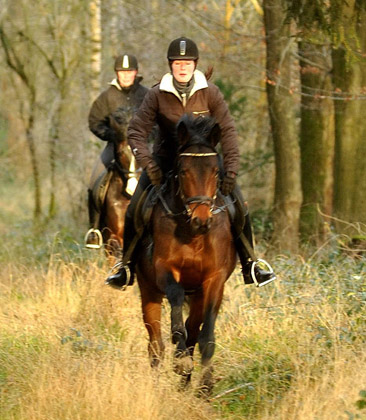 Ausritt im Januar 2012: Hirtenglanz und Shavalou - Foto: Beate Langels - Trakehner Gestt Hmelschenburg