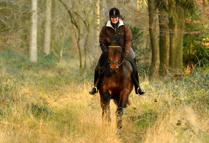 Ausritt im Januar 2012: Hirtenglanz und Shavalou - Foto: Beate Langels - Trakehner Gestt Hmelschenburg