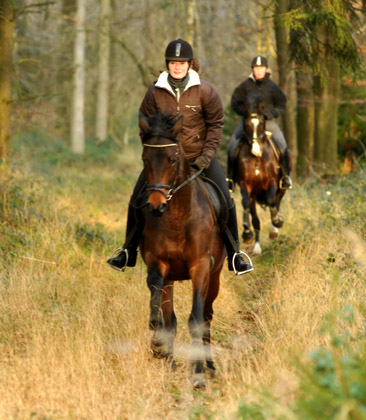 Ausritt im Januar 2012: Hirtenglanz und Shavalou - Foto: Beate Langels - Trakehner Gestt Hmelschenburg