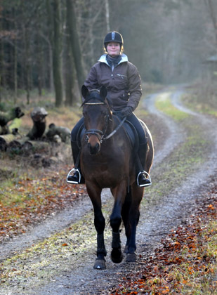 Ausritt im Januar 2012: Hirtenglanz und Shavalou - Foto: Beate Langels - Trakehner Gestt Hmelschenburg