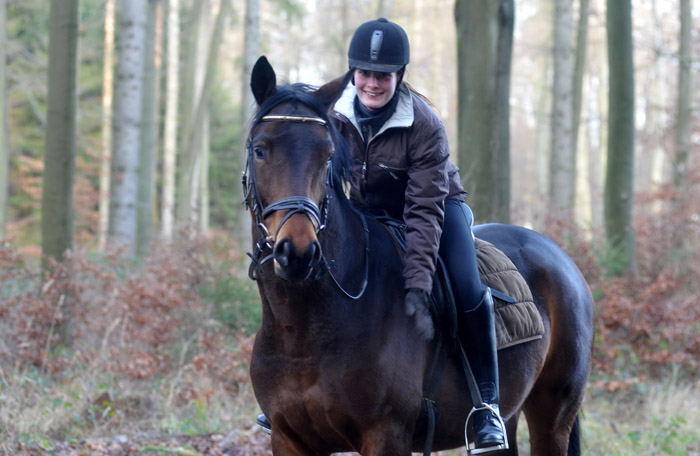 Ausritt im Januar 2012: Hirtenglanz und Shavalou - Foto: Beate Langels - Trakehner Gestt Hmelschenburg
