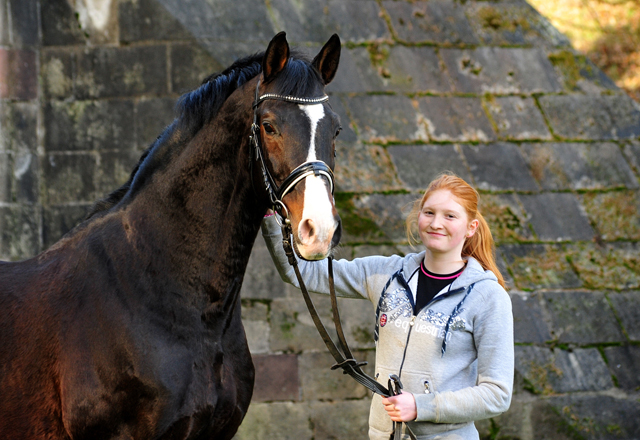 Trakehner Prmienhengst sHAVALOU - Gestt Hmelschenburg - 17: Februar 2019 - copyright by Beate Langels