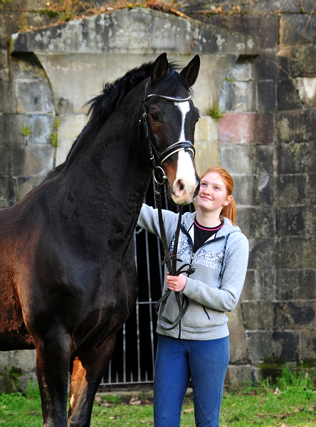 Trakehner Prmienhengst sHAVALOU - Gestt Hmelschenburg - 17: Februar 2019 - copyright by Beate Langels