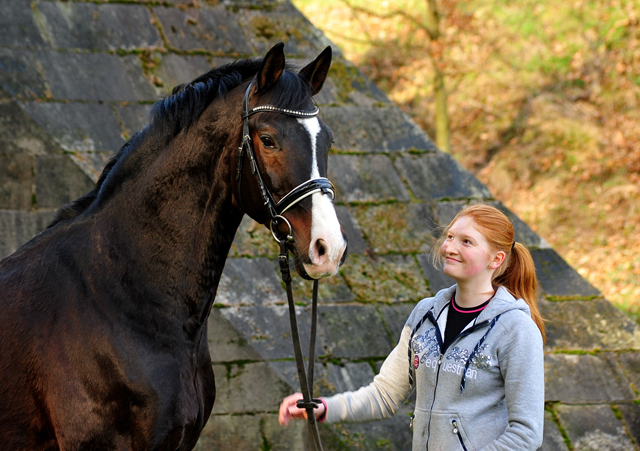 Trakehner Prmienhengst sHAVALOU - Gestt Hmelschenburg - 17: Februar 2019 - copyright by Beate Langels