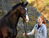 Februar 2019 - Impressionen - Trakehner Gestt Hmelschenburg 2019 - Foto: Beate Langels