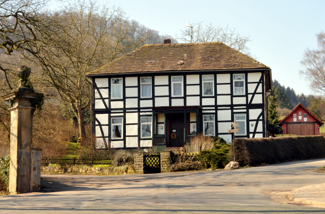 Trakehner Gestüt Hämelschenburg - Beate Langels