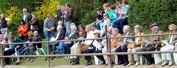  - Foto: Beate Langels - Trakehner Gestt Hmelschenburg