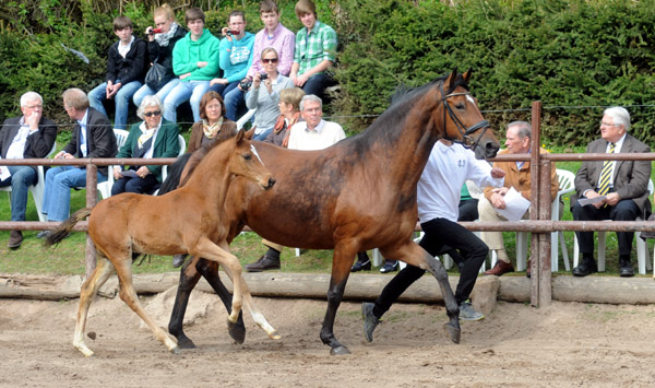 Karena v. Freudenfest mit Hengstfohlen von Saint Cyr - Foto: Beate Langels - Trakehner Gestt Hmelschenburg