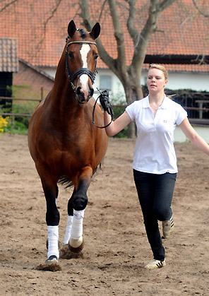 Freudenfest und Franziska - Foto: Beate Langels - Trakehner Gestt Hmelschenburg