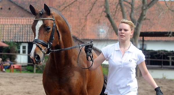 Freudenfest und Franziska - Foto: Beate Langels - Trakehner Gestt Hmelschenburg