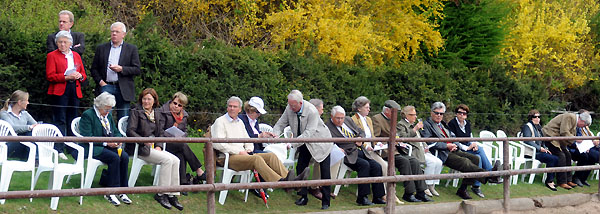  - Foto: Beate Langels - Trakehner Gestt Hmelschenburg