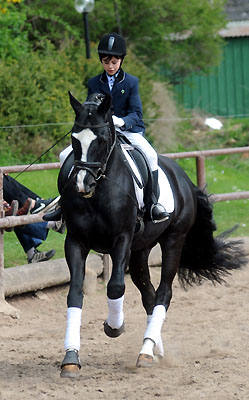 Thyra und Alter Fritz - Foto: Beate Langels - Trakehner Gestt Hmelschenburg