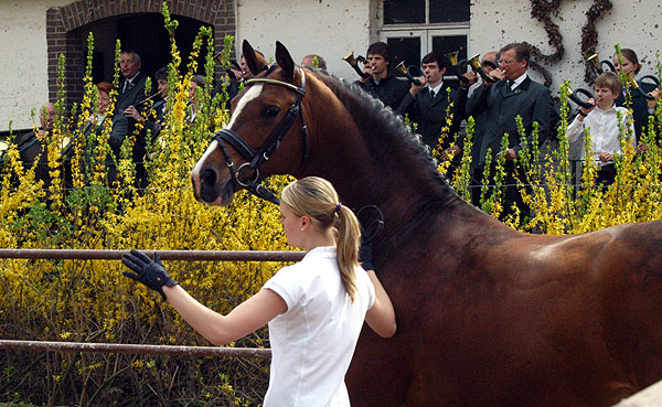 Freudenfest und Franziska - Foto: Beate Langels - Trakehner Gestt Hmelschenburg