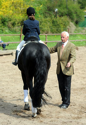 Thyra und Alter Fritz untersttzt von Otto Langels - Foto: Beate Langels - Trakehner Gestt Hmelschenburg