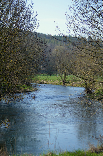 Die Emmer bei Hmelschenburg - 17. April 2021 - Foto: Pia Elger - 
Trakehner Gestt Hmelschenburg