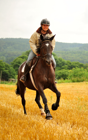 17. Juli 2016 - Trakehner Gestt  Hmelschenburg - Beate Langels