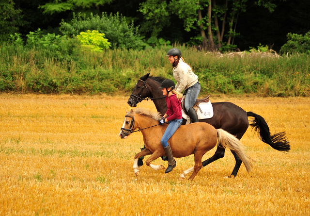 17. Juli 2016 - Trakehner Gestüt Hämelschenburg - Beate Langels