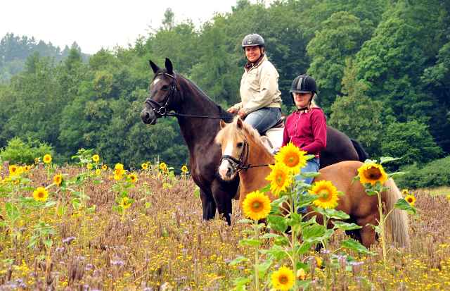 17. Juli 2016 - Trakehner Gestüt Hämelschenburg - Beate Langels