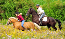Im Juli 2016 in Hmelschenburg 2016