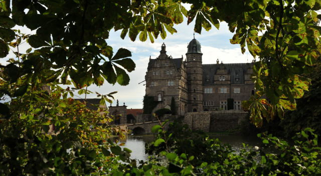 Hmelschenburg - im September 2013, Foto: Beate Langels, Trakehner Gestt Hmelschenburg - Beate Langels