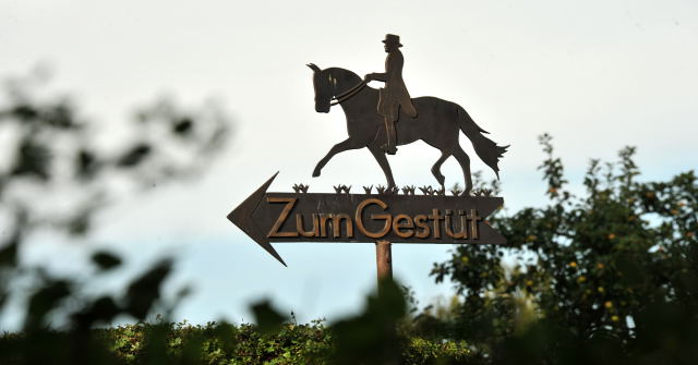 Hmelschenburg - im September 2013, Foto: Beate Langels, Trakehner Gestt Hmelschenburg - Beate Langels