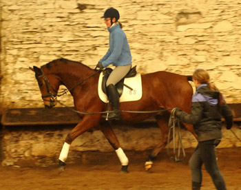 Trakehner Wallach von Showmaster u.d. Zaubermelodie v. Tuareg - Mahagoni, geritten von C. Wolf - Trakehner Gestt Hmelschenburg - Beate Langels