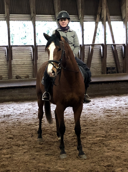 Erstes Bild unterm Reiter -Klassic Sunday im Gestt Hmelschenburg  - Foto: Beate Langels - Trakehner Gestt Hmelschenburg