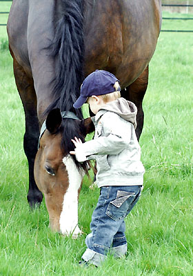 Tavolara and the two year old Jasper - Trakehner Gestt Hmelschenburg - Foto: Beate Langels