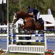 Golden East v. Shavalou x Alter Fritz - Zchter: Bernhard Langels Gestt Schplitz