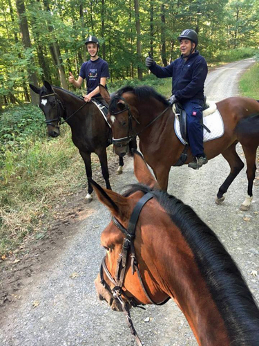 Kaiserherz - Trakehner Gestt Hmelschenburg - September 2018 - Foto: Beate Langels