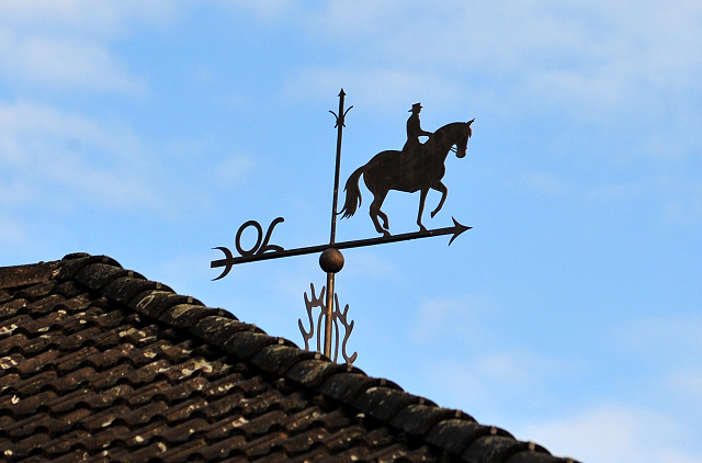 November 2018 - Trakehner Gestt Hmelschenburg - Foto: Beate Langels