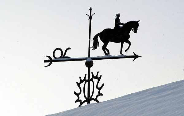 Ein Winterspaziergang am 4. Advent im Trakehner Gestt Hmelschenburg, Foto: Beate Langels