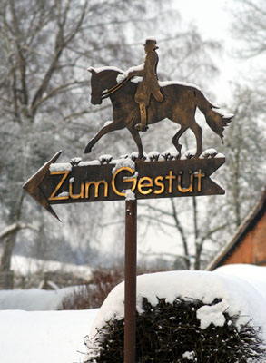 Ein Winterspaziergang am 4. Advent im Trakehner Gestt Hmelschenburg, Foto: Beate Langels