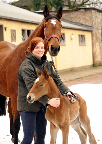 16 Stunden alt: Stutfohlen von Honoré du Soir u.d. Karena v. Freudenfest - 18. Februar 2016 - Foto: Beate Langels -
Trakehner Gestüt Hämelschenburg