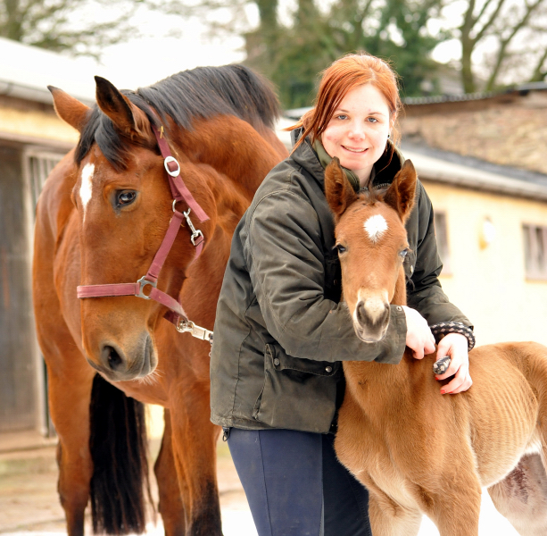 16 Stunden alt: Stutfohlen von Honor du Soir u.d. Karena v. Freudenfest - 18. Februar 2016  - Foto: Beate Langels -
Trakehner Gestt Hmelschenburg