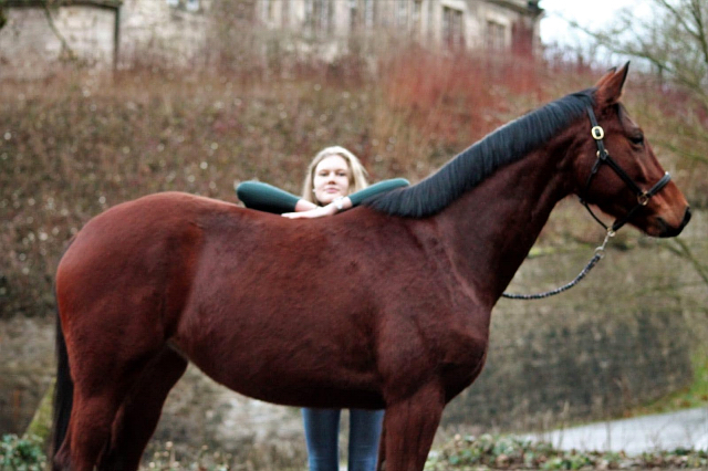 Kaarina v. High Motion - 19. Januar 2020 - Trakehner Gestt Hmelschenburg - Beate Langels - Foto Johanna Kraus