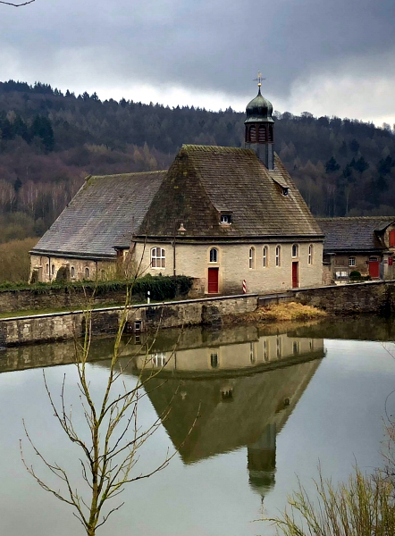 19. Januar 2020 in Hmelschenburg - Trakehner Gestt Hmelschenburg - Beate Langels