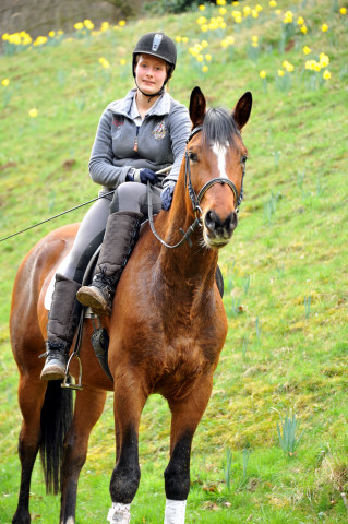 Perano und Killarney - 3j hriger Trakehner Nachwuchspferde im Gest t H melschenburg - Foto Beate Langels