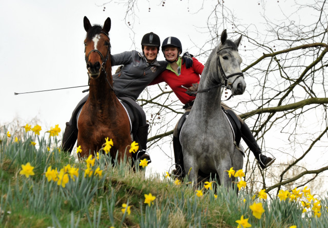 Perano und Killarney - 3j hriger Trakehner Nachwuchspferde im Gest t H melschenburg - Foto Beate Langels