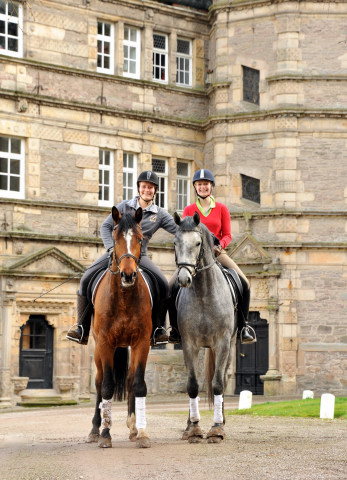 Perano und Killarney - 3jhriger Trakehner Nachwuchspferde im Gestt Hmelschenburg - Foto Beate Langels